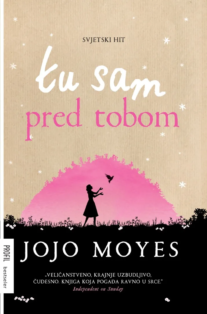 Tu sam pred tobom