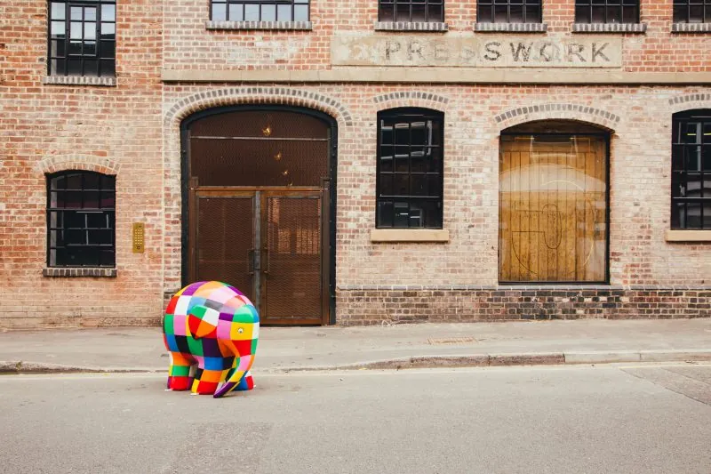 Stigao je najšareniji slonić na svijetu – Elmer - Profil knjiga